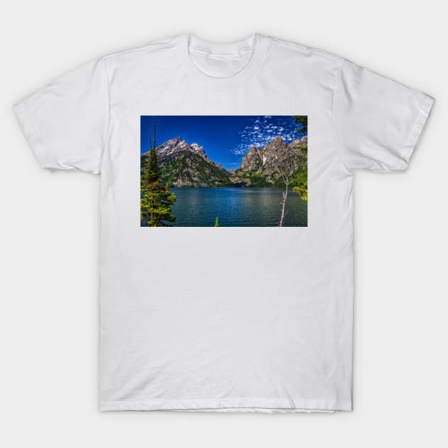 Jenny Lake Grand Teton National Park T-Shirt by Gestalt Imagery